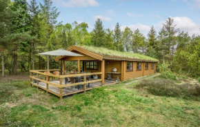 Lovely Home In Hadsund With House A Panoramic View